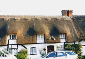 master thatcher armstrong wilts dorset hants hampshire thatching services