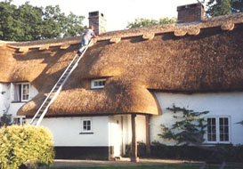 master thatcher armstrong wilts dorset hants hampshire thatching services process