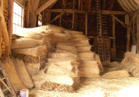 master thatcher thatching reed